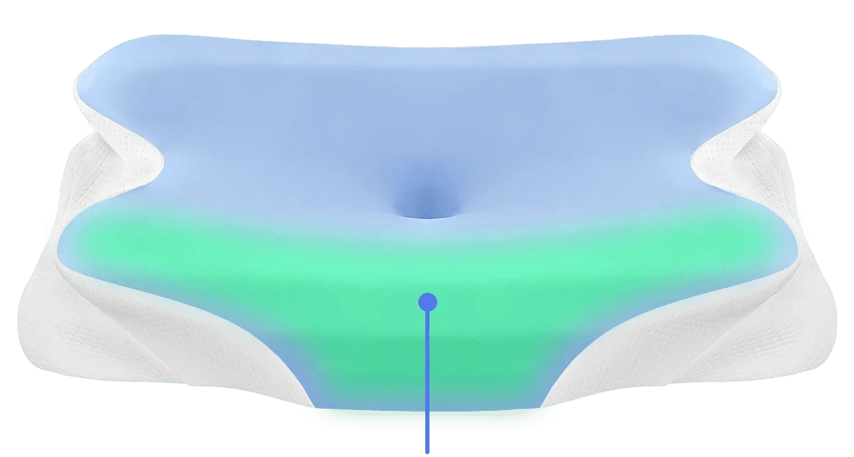 Seller’s coloured illustration of the contoured pillow shape