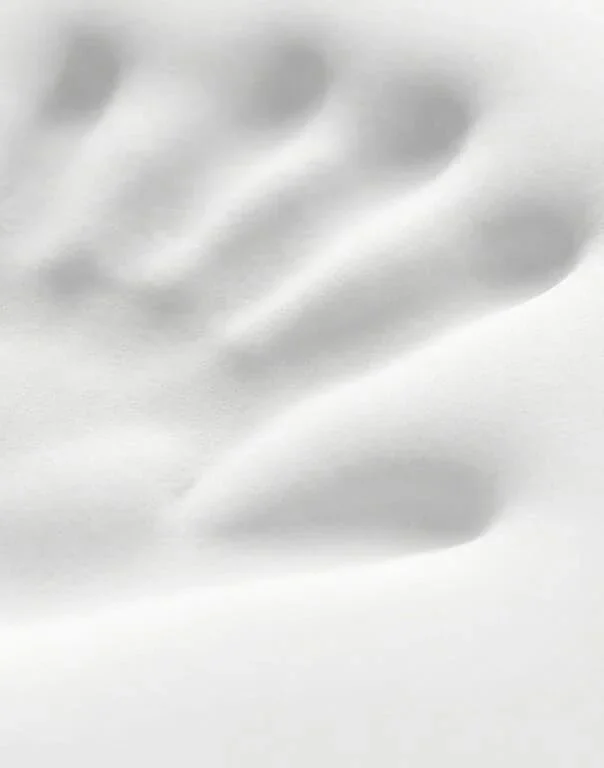 Max seller illustration or detail: memory foam